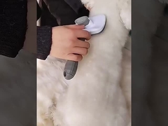 마사지 기능이 있는 블루 셀프 클리닝 개 브러쉬 개발 제거기