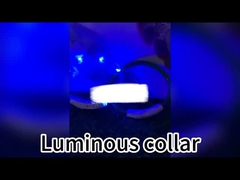 120cm LED 강아지 리시 재충전 가능한 USB 조명형 개 리시 개인화