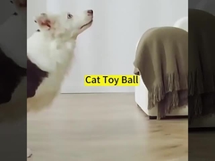 반려동물 ABS 실리콘 재료 자동동 개 훈련 고양이 장난감 실내 오락