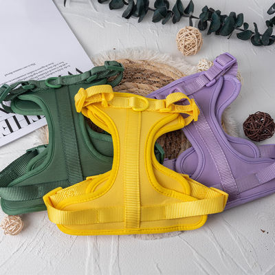 네오프렌 개인화 애완 동물 개 허리 스레드와 칼라 세트 조정 가능한 적합성 S / M / L