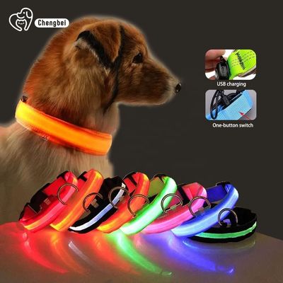 Hundehalsband 조명용 개 목걸이 재충전 가능한 나일론 XS XL LED 애완 동물 목걸이