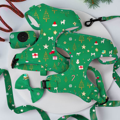 인기가 있는 맞춤형 개인 디자인 럭셔리 풀이 없는 조정 가능한 목걸이 리어 Bow 넥타이와 반다나 회전 가능한 개 허리 세트