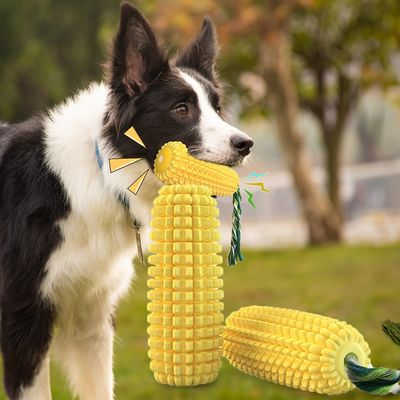 독성 없는 삐걱거리는 개 장난감 TPR 씹는 장난감 공격적인 씹는 사람