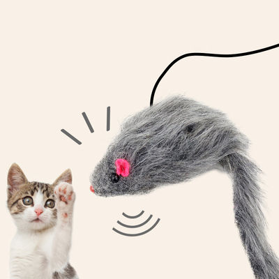 이름